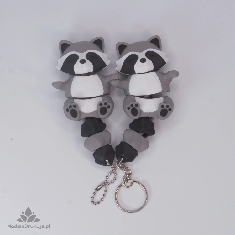 DSC00293.webp