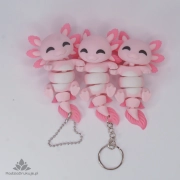 DSC00282.webp